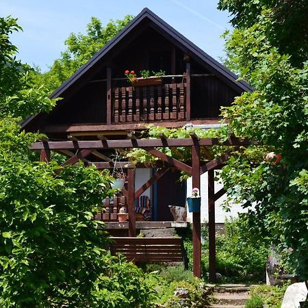 Na Okic - A Private Forest Oasis Sveti Martin pod Okicem ภายนอก รูปภาพ