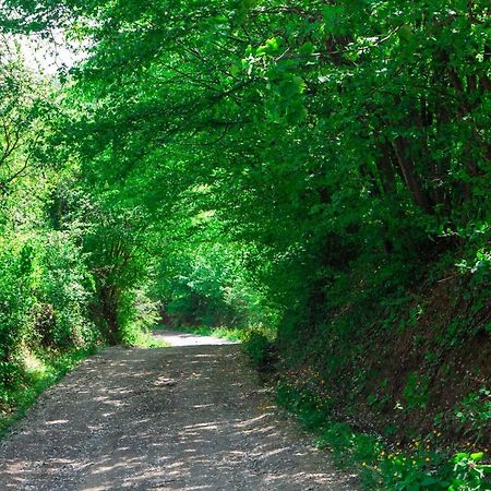 Na Okic - A Private Forest Oasis Sveti Martin pod Okicem ภายนอก รูปภาพ