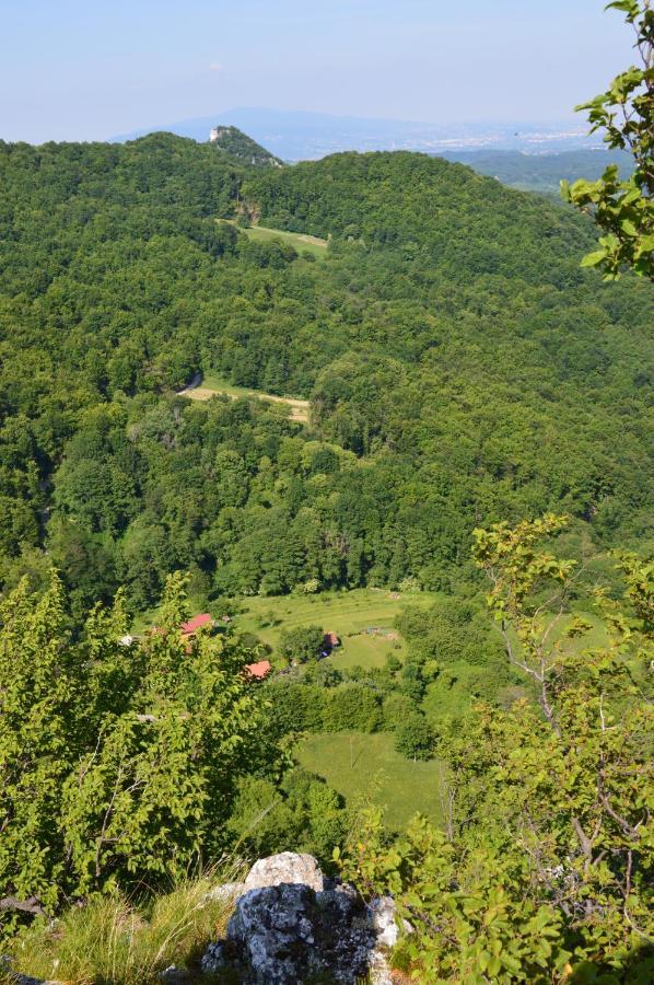Na Okic - A Private Forest Oasis Sveti Martin pod Okicem ภายนอก รูปภาพ