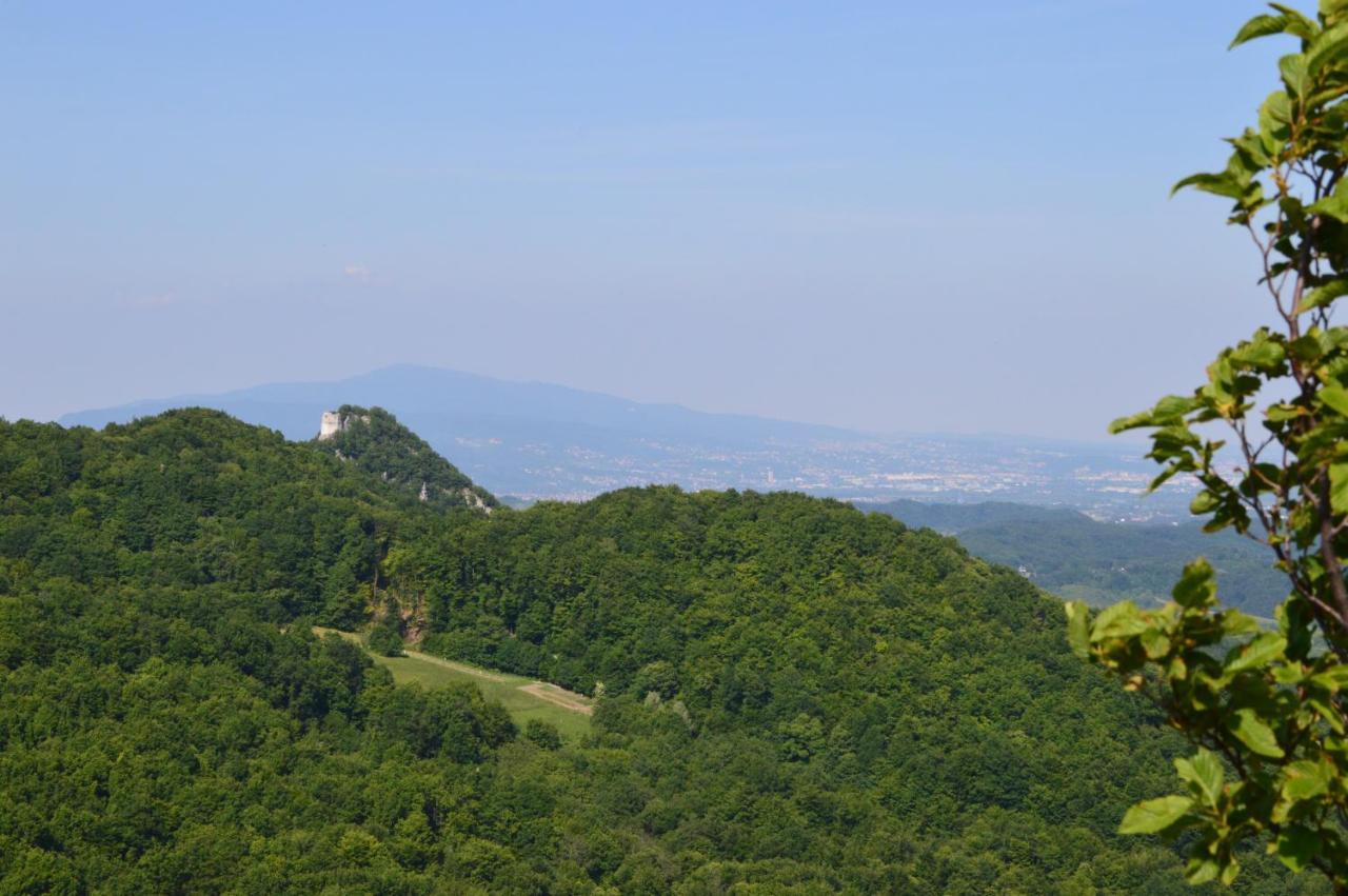 Na Okic - A Private Forest Oasis Sveti Martin pod Okicem ภายนอก รูปภาพ