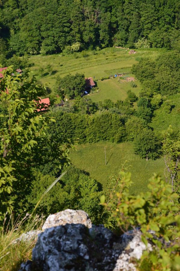 Na Okic - A Private Forest Oasis Sveti Martin pod Okicem ภายนอก รูปภาพ