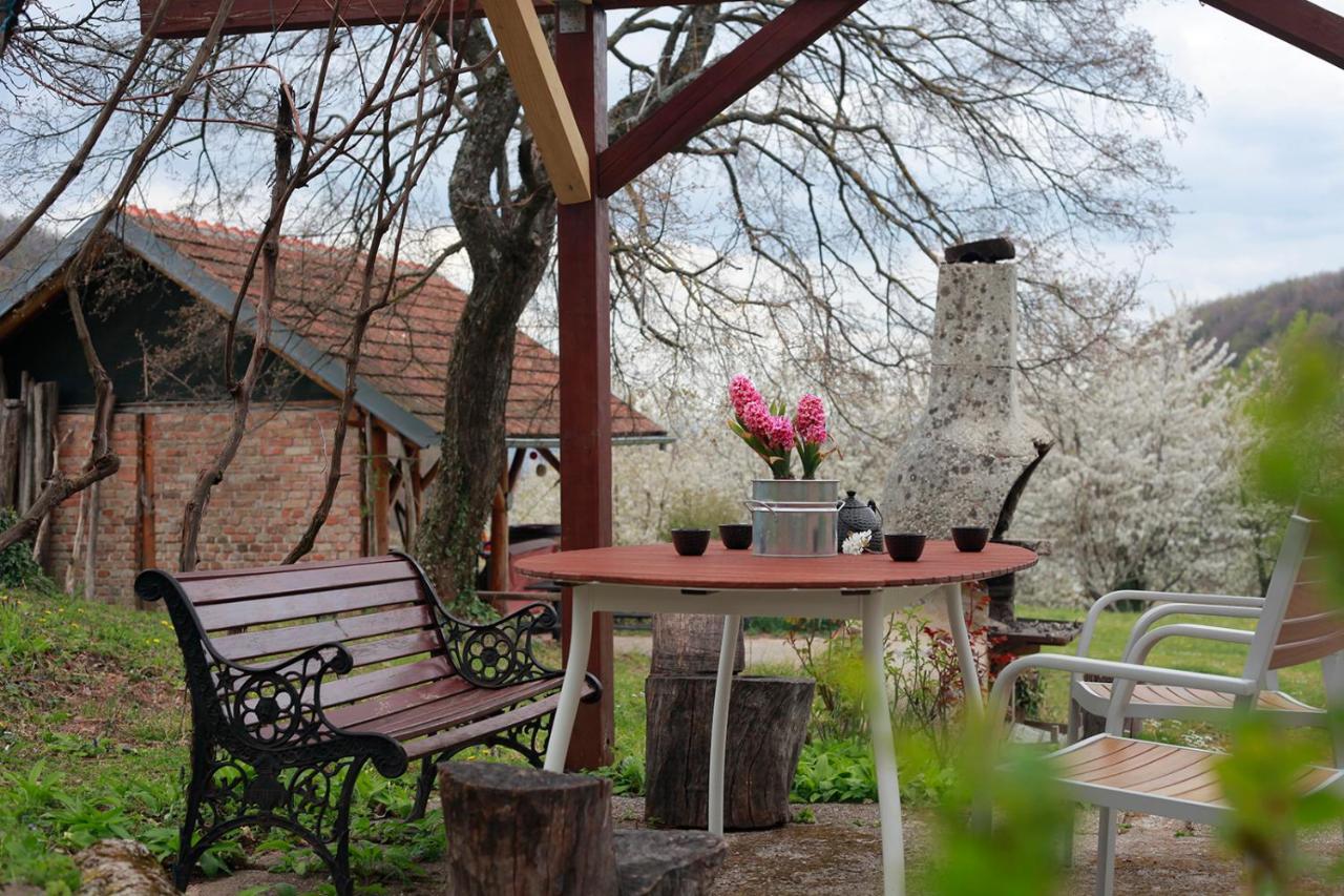 Na Okic - A Private Forest Oasis Sveti Martin pod Okicem ภายนอก รูปภาพ