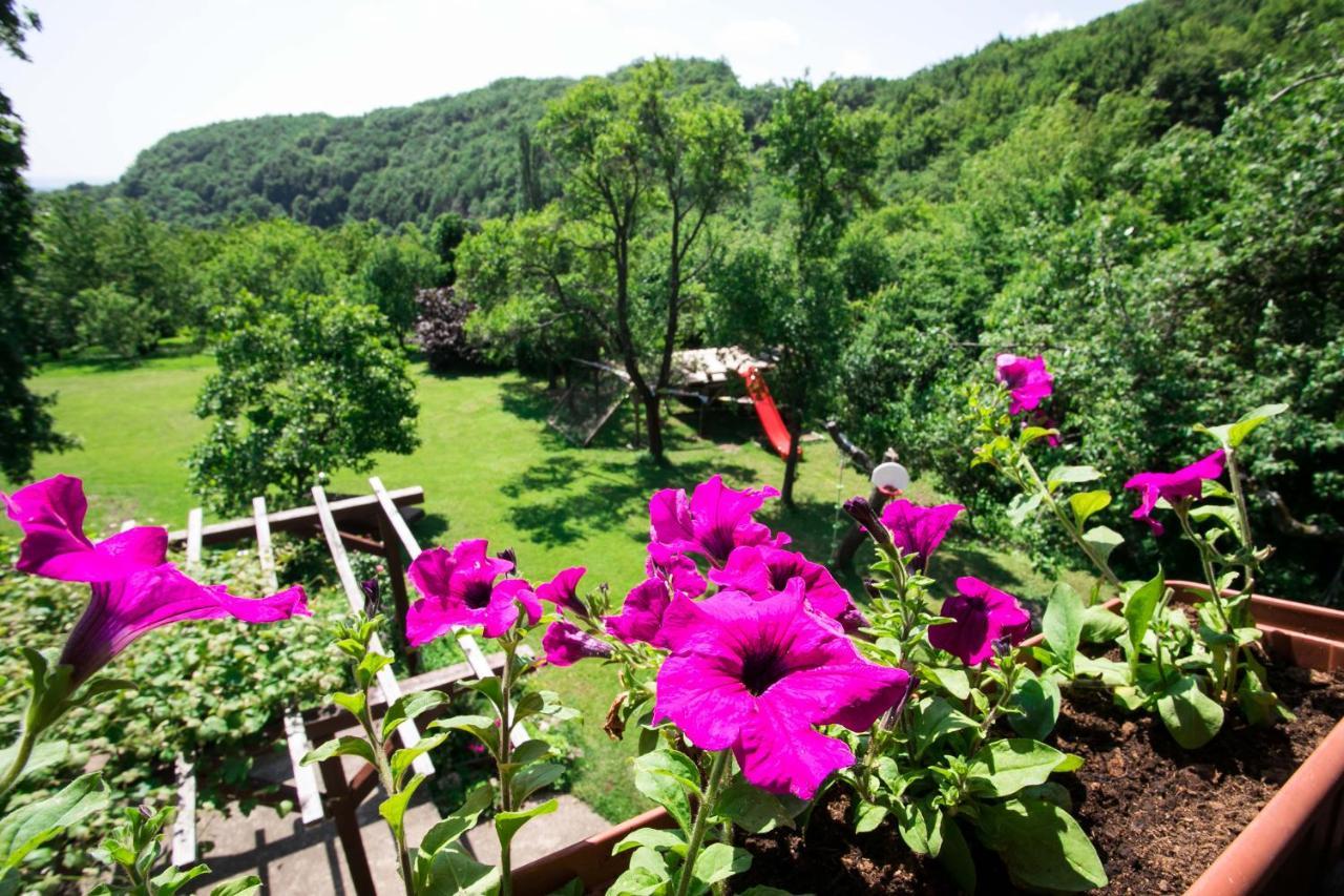 Na Okic - A Private Forest Oasis Sveti Martin pod Okicem ภายนอก รูปภาพ