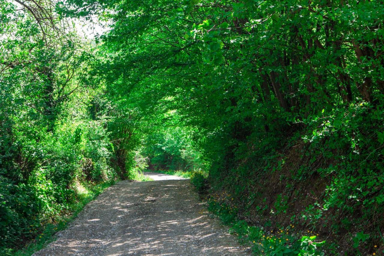 Na Okic - A Private Forest Oasis Sveti Martin pod Okicem ภายนอก รูปภาพ
