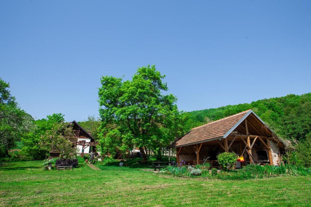 Na Okic - A Private Forest Oasis Sveti Martin pod Okicem ภายนอก รูปภาพ